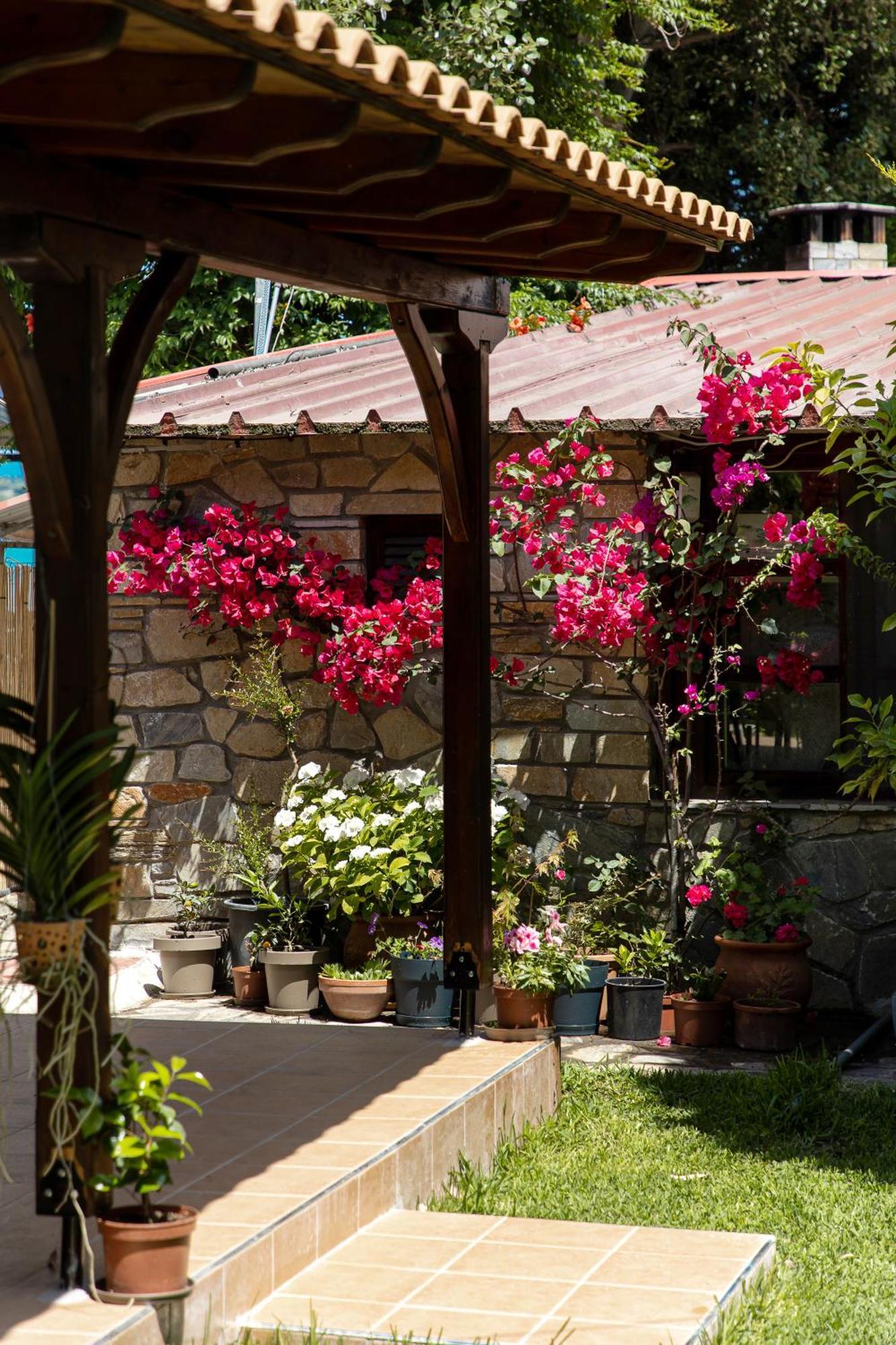 Lazaros Beachfront & Vourvourou